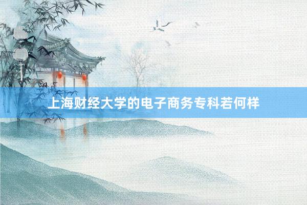 上海财经大学的电子商务专科若何样
