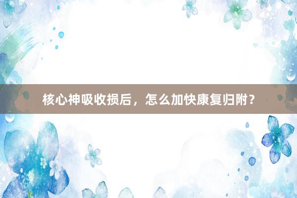 核心神吸收损后，怎么加快康复归附？
