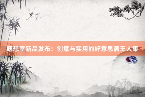 瞎想室新品发布：创意与实用的好意思满王人集