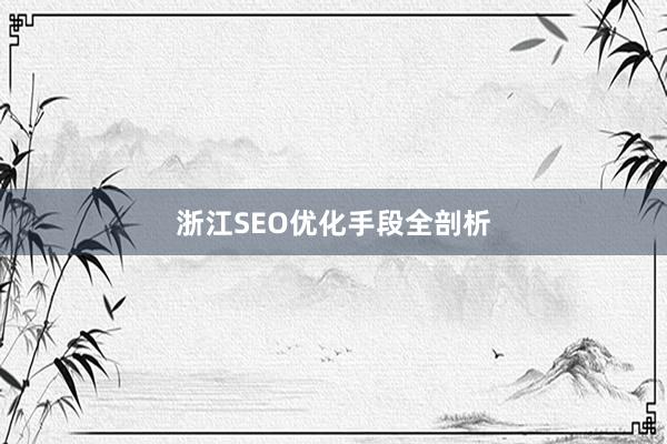 浙江SEO优化手段全剖析