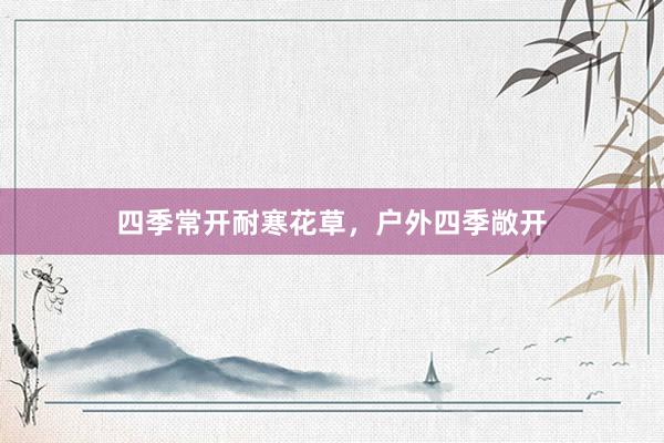 四季常开耐寒花草，户外四季敞开
