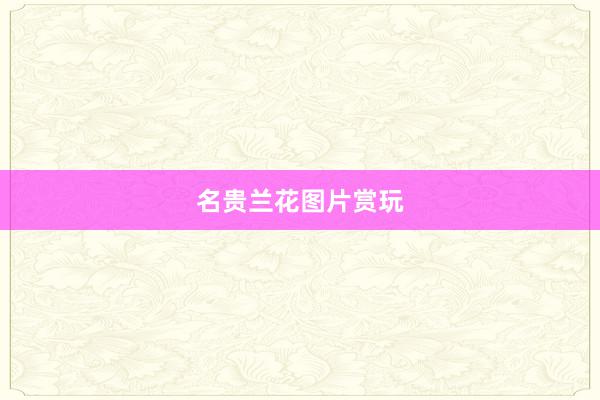 名贵兰花图片赏玩
