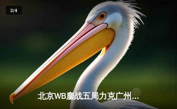 北京WB鏖战五局力克广州TTG，花卷弈星天元定乾坤锁定胜者组 - 2
